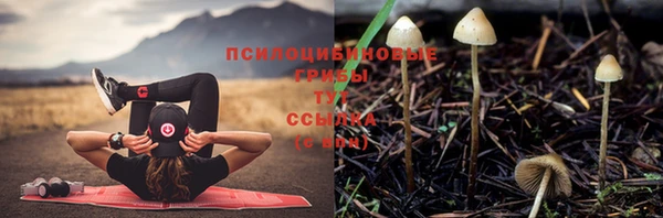 сатива Богородицк