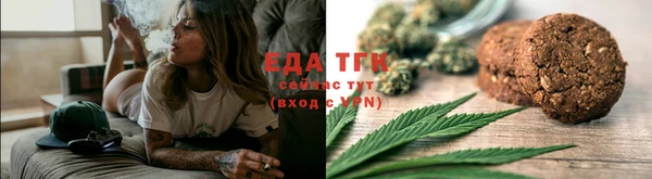 стаф Богданович