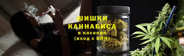 крисы Бронницы