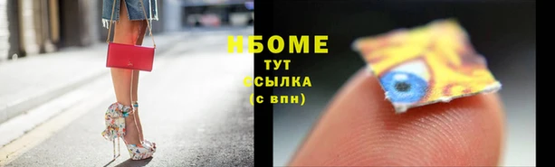 стаф Богданович