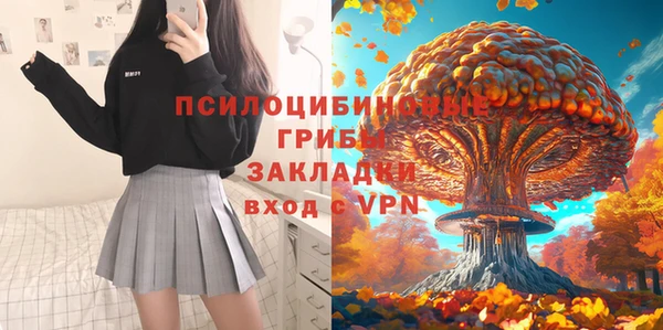 сатива Богородицк