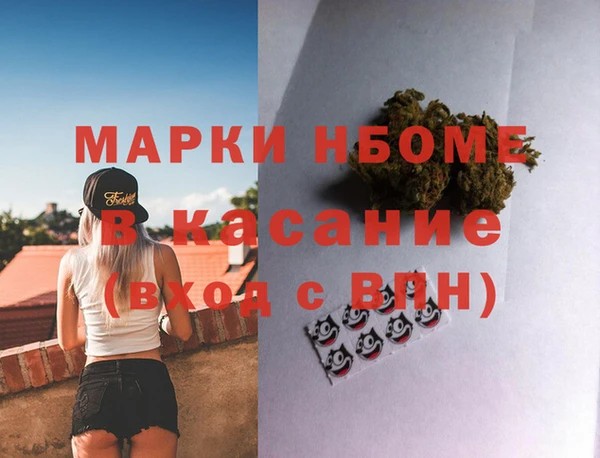 сатива Богородицк