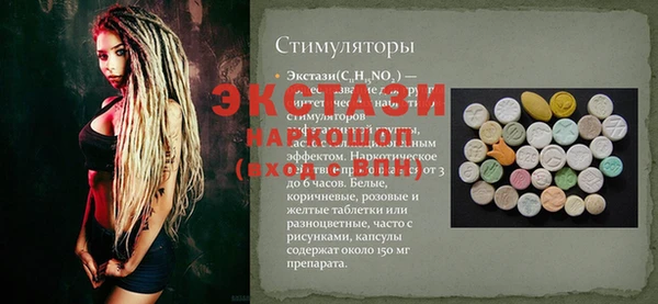 стаф Богданович