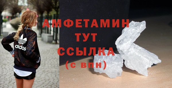 стаф Богданович