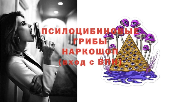 крисы Бронницы