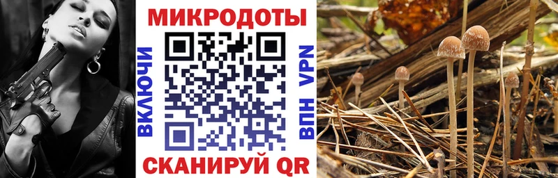 Псилоцибиновые грибы мухоморы  продажа наркотиков  Дорогобуж 
